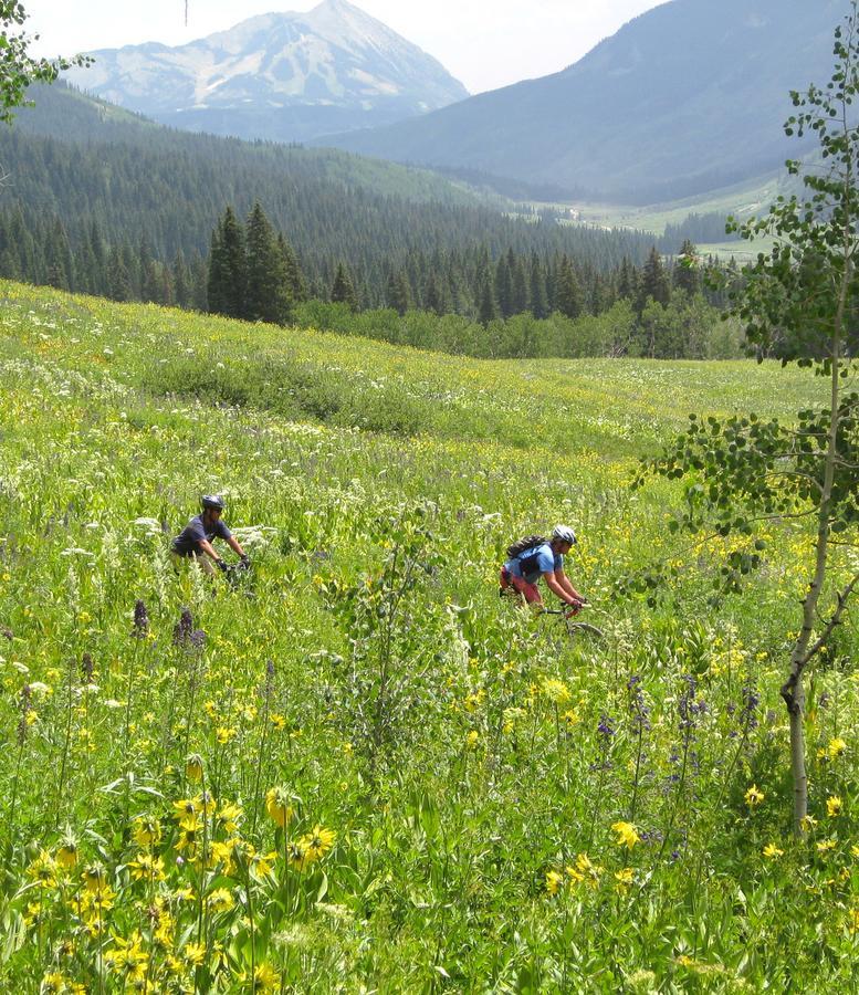 Purple Mountain Bed & Breakfast & Spa Crested Butte Dış mekan fotoğraf